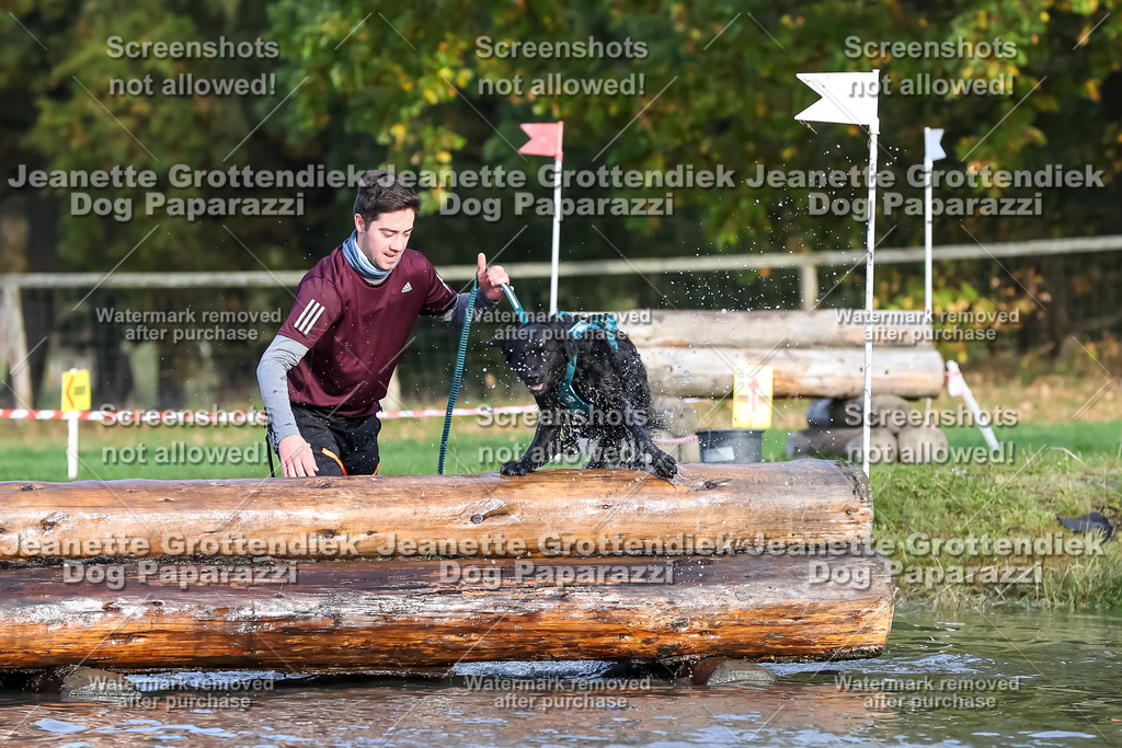 Dog Paparazzi - Strongdog 10-25-7067 | Dog Paparazzi Jeanette Grottendiek Fotografie & Videografie - Realisiert mit Pictrs.com