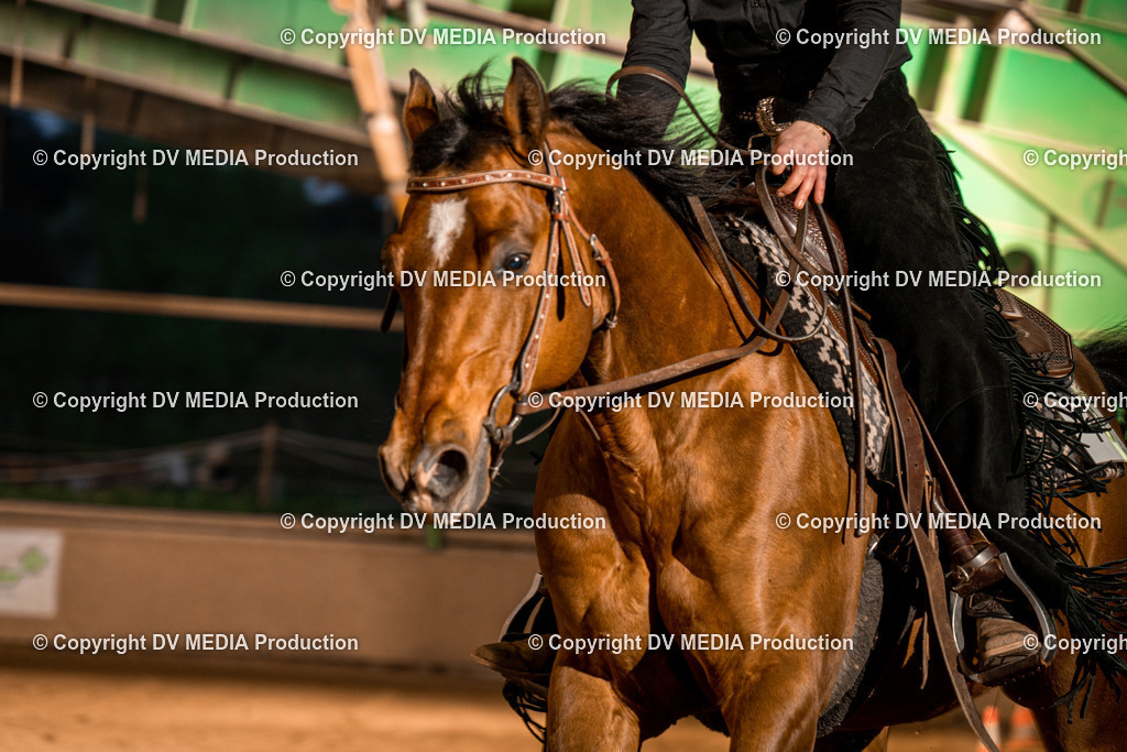 BA301443 | dv-media-shop - Realisiert mit Pictrs.com