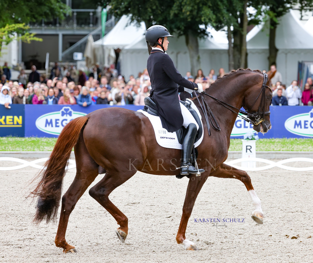 1B3A8314 | Reitsport Reiten