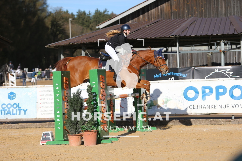 DL2Q3848 | Willkommen bei Brunnmayr - Design & Fotografie – Ihrem Spezialisten für Reitturniere und Pferdeveranstaltungen in Oberösterreich, Salzburg und Bayern! Seit über 17 Jahren sind wir leidenschaftlich dabei.