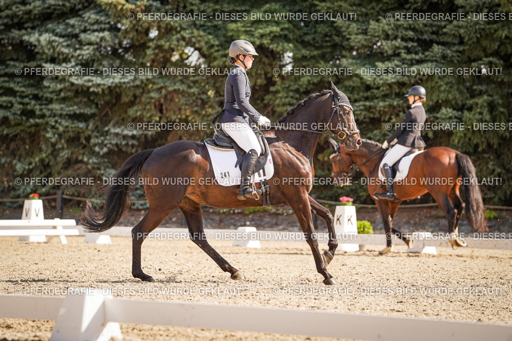 DSC00414 | Pferdegrafie