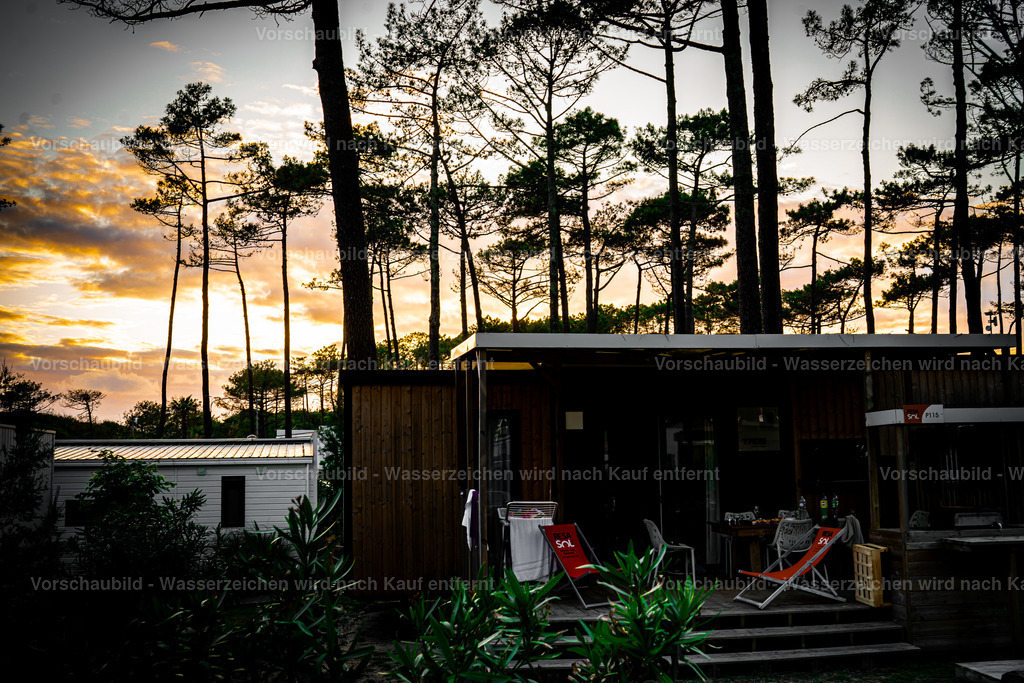 DSC02001 | marcuslinek