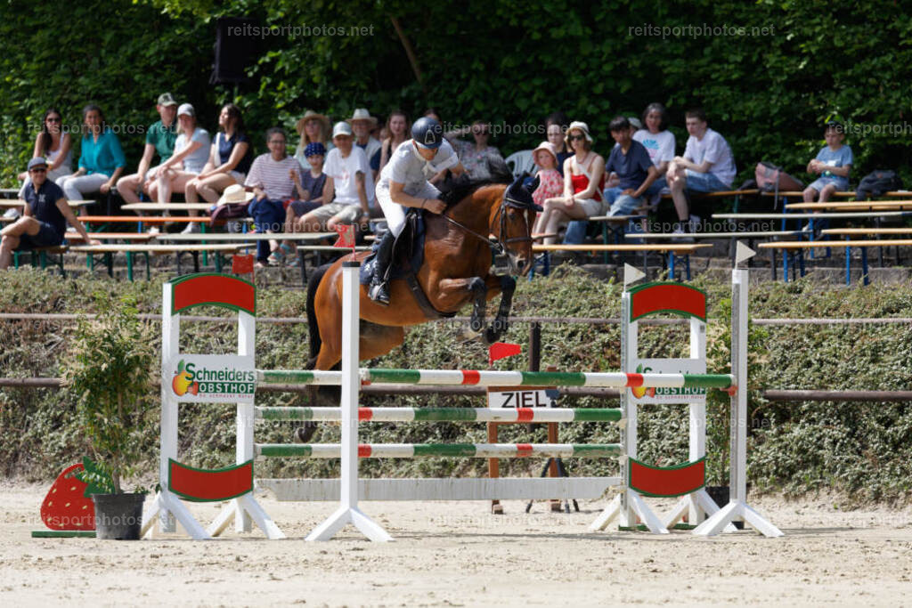JHE31317 | JoYa Fotografie - Realisiert mit Pictrs.com