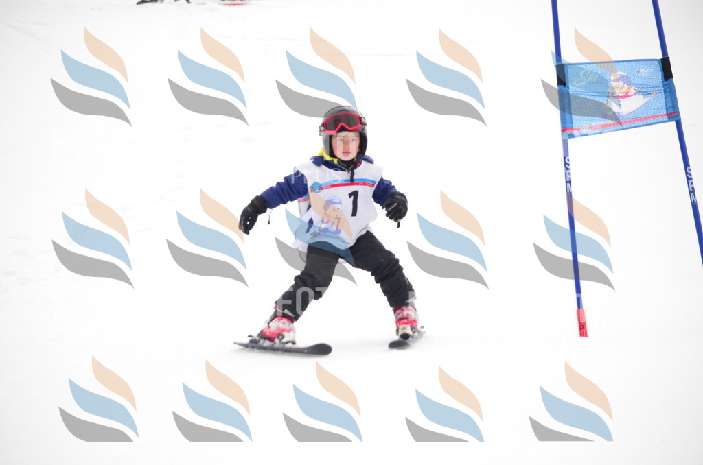 B8908 | holidayphoto