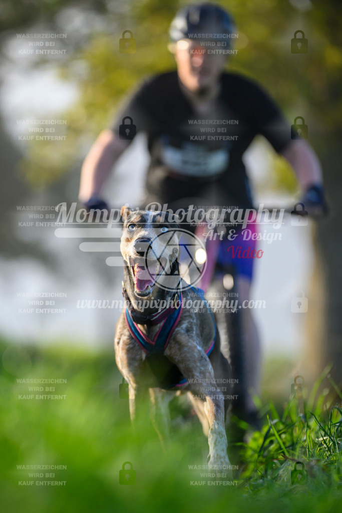 MompixPhotography_20TSB_E3_Bike-177 | PayLife