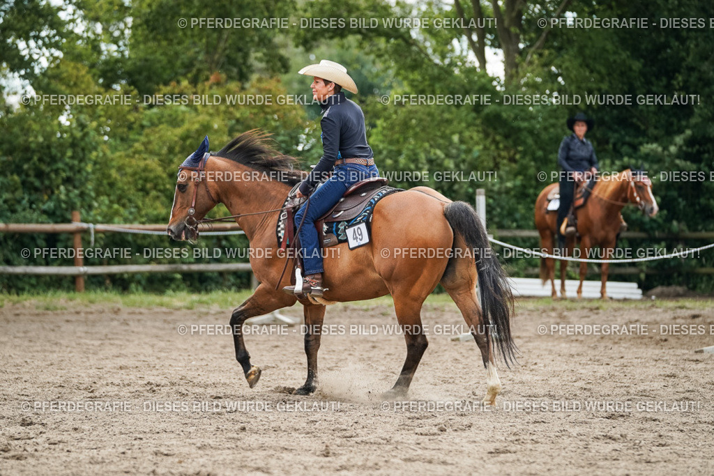 DSC03357 | Pferdegrafie