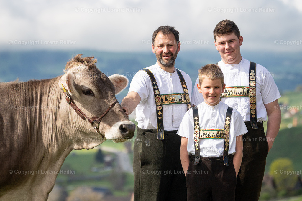 Schwingen -  Lebendpreise AppKant 2025 | Gais, 26.4.25, Schwingen - Lebendpreise AppKant.