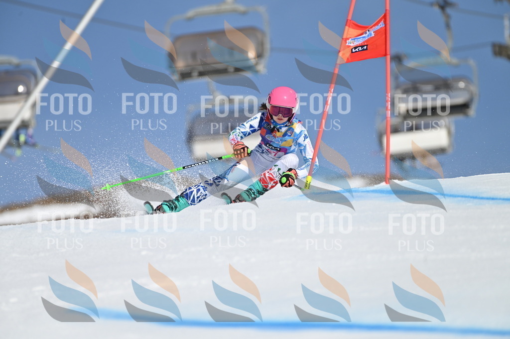 BGV_8658 | holidayphoto