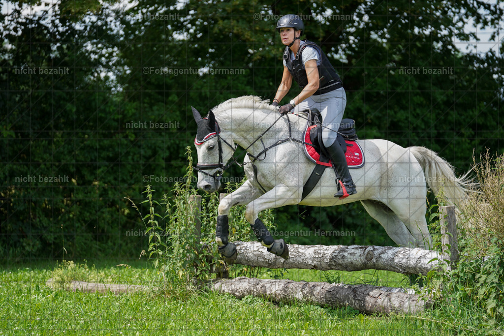 20240622-FAH07569 | Turnierfotografen Bayern, Reitsportbilder aus dem Geländekurs mit Felix Etzel auf dem Gut Waitzacker 2024