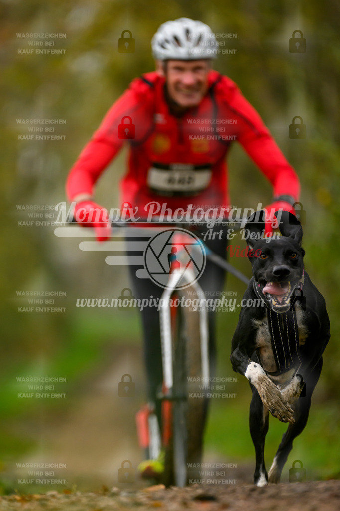 MompixPhotography_20TSB_E6_DS1-68 | PayLife