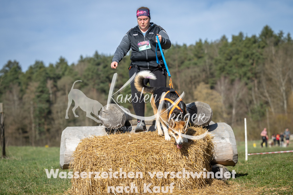 1011_ZZ99423 | kk-dogfotos