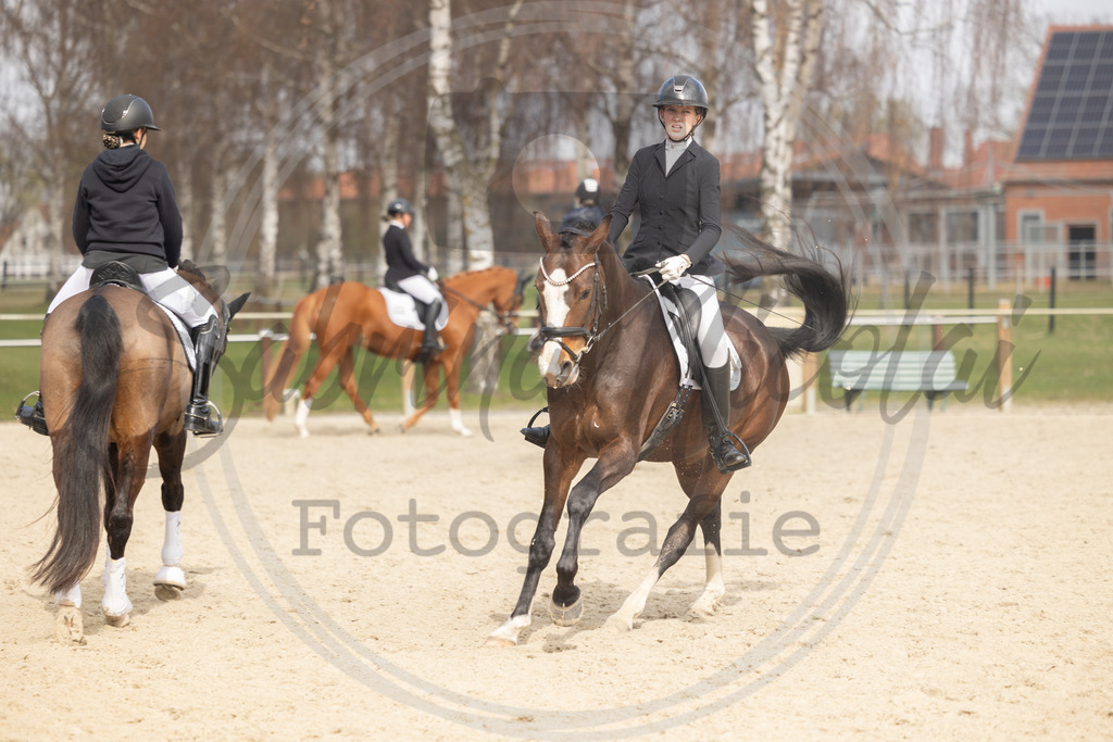 994A8728 | sabrinanicolaifotografie - Realisiert mit Pictrs.com