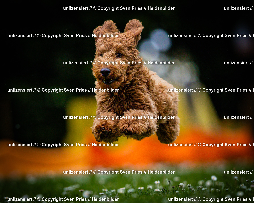 Sven Pries | 2025-05-29 - Pudelrennen KA-Durlach - Realisiert mit Pictrs.com