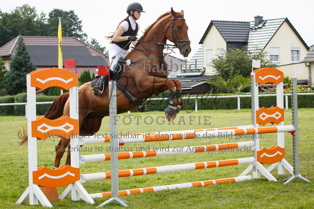 IMG_2730 | P. Berger Fotografie - Realisiert mit Pictrs.com