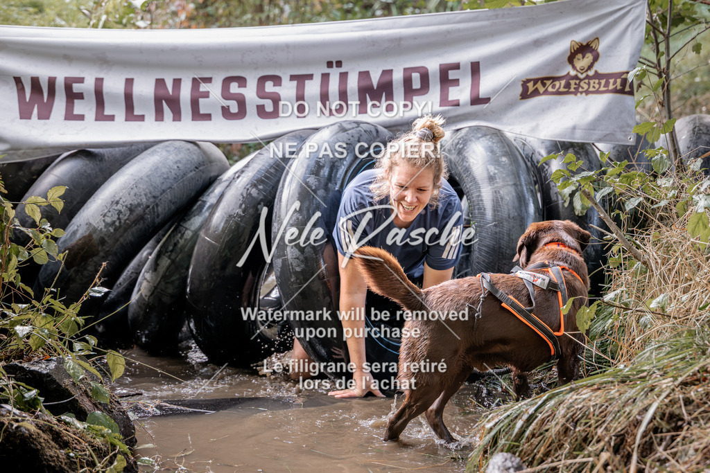nelerasche_Hunsrück2026_Sa1400-1500_347 | nelerasche