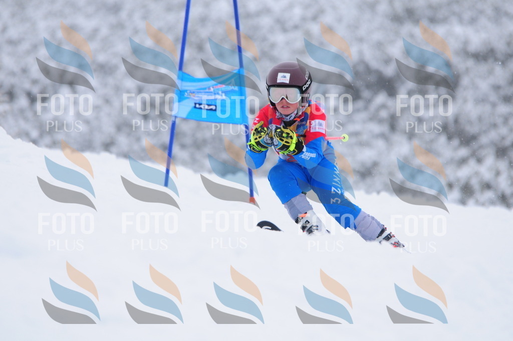 C3121 | holidayphoto