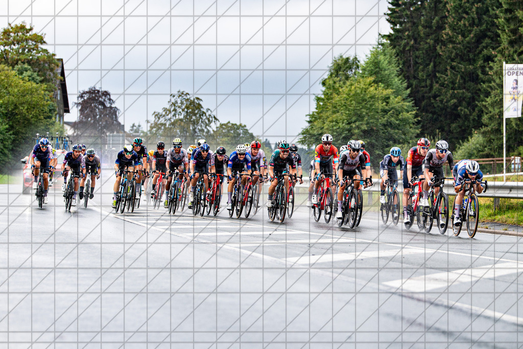 @Martin König_20230825__DSC5362_1 | bullenfotos|de - Realisiert mit Pictrs.com