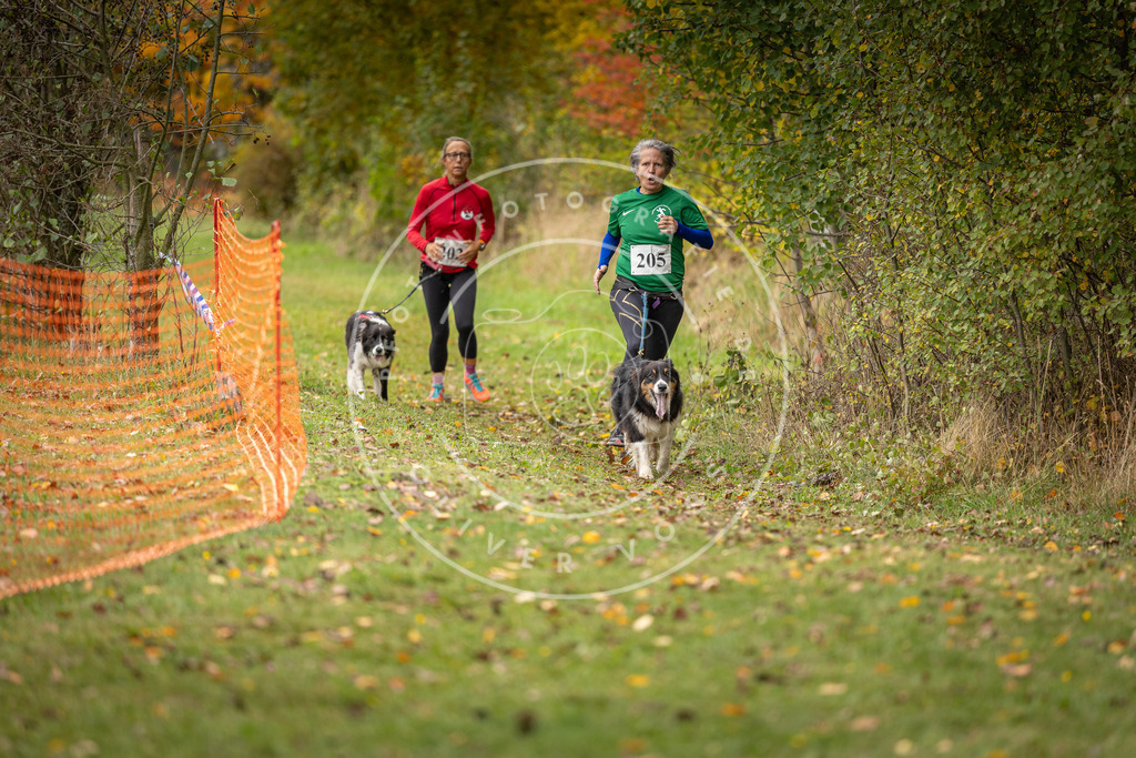 Pfotenfotografie_DV3A4115 | Hundefotografie, Tierfotograf, Pfotenfotografie, Fotoshooting Hund, Hunde Portrait, Hundesport, Hundeportraits, Heideshooting, Hunde, Sportfotograf, Hundefotograf, Turnierhundsport, THS,  - Realisiert mit Pictrs.com