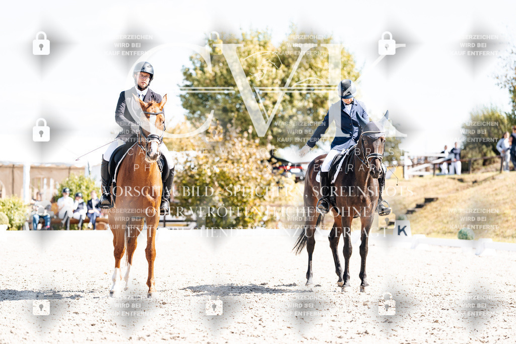 CK903373 | Turnierfotografie Pferdefotografie Trier Rheinland-Pfalz Pferdesport Reitsport Tierfotografie Sportfotografie Pferdevideo Pferdevideografie Equestrianvideography equestrianphotography  - Realisiert mit Pictrs.com