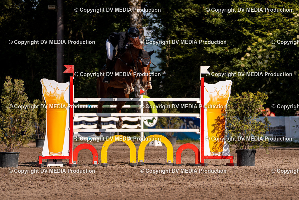 Eppelheim Tag 3-888 | dv-media-shop - Realisiert mit Pictrs.com