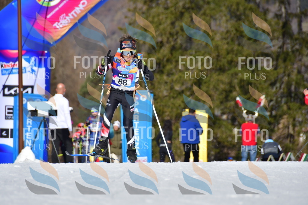 _DSC9465 | holidayphoto