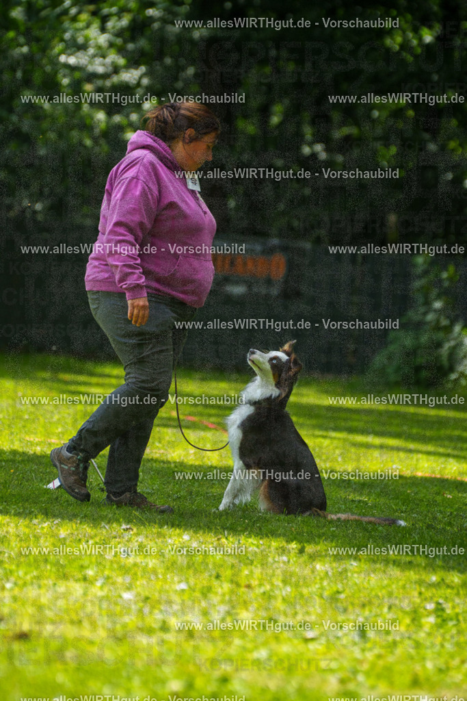 @allesWIRTHgut_Tierfotografie - www.allesWIRTHgut.de - 7R504956 | Professionelle Tierfotografie in Mönchengladbach von Daniel Wirth (allesWIRTHgut). Liebevolle & natürliche Bilder von Hunden & Katzen für unvergessliche Erinnerungen.