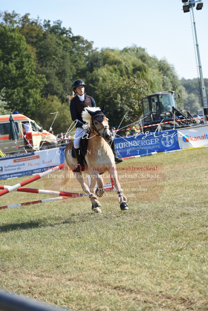 DSC_5889 | Pferde- und Turnierfotografie in Westsachsen. Pferdeportraits, Auftragszeichnungen und intuitive Kunst.