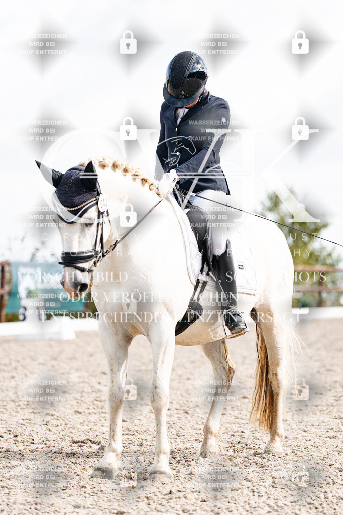 CK901596 | Turnierfotografie Pferdefotografie Trier Rheinland-Pfalz Pferdesport Reitsport Tierfotografie Sportfotografie Pferdevideo Pferdevideografie Equestrianvideography equestrianphotography  - Realisiert mit Pictrs.com
