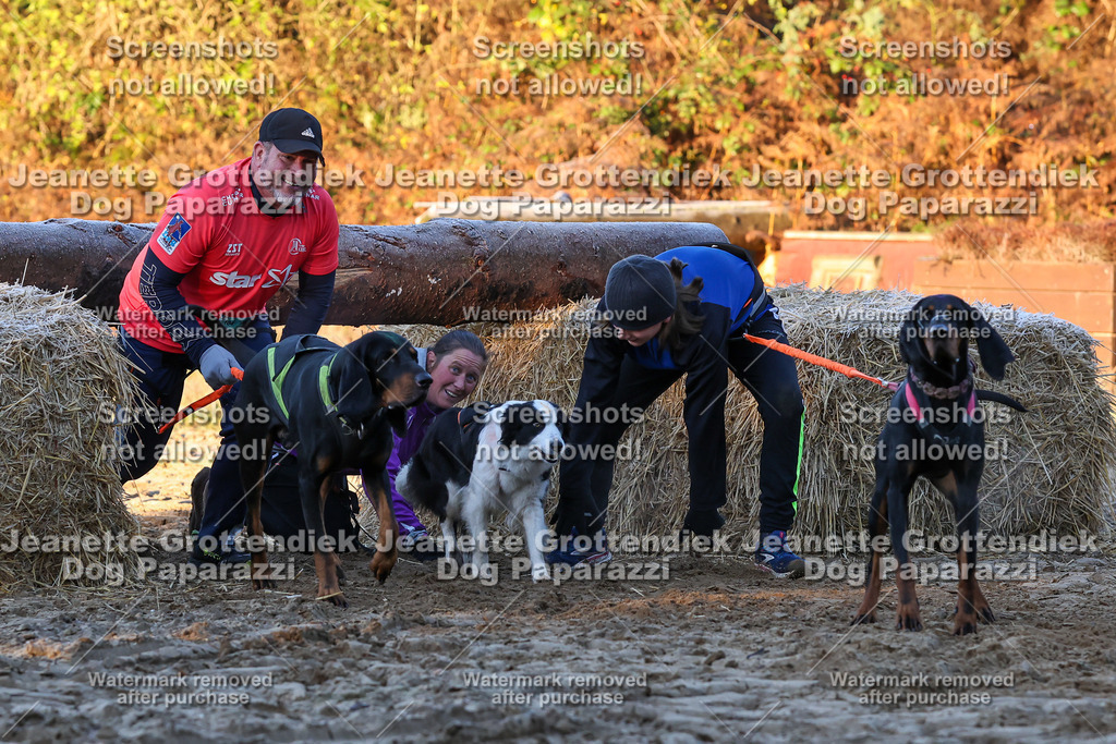 Dog Paparazzi - Strongdog 10-25-510 | Dog Paparazzi Jeanette Grottendiek Fotografie & Videografie - Realisiert mit Pictrs.com