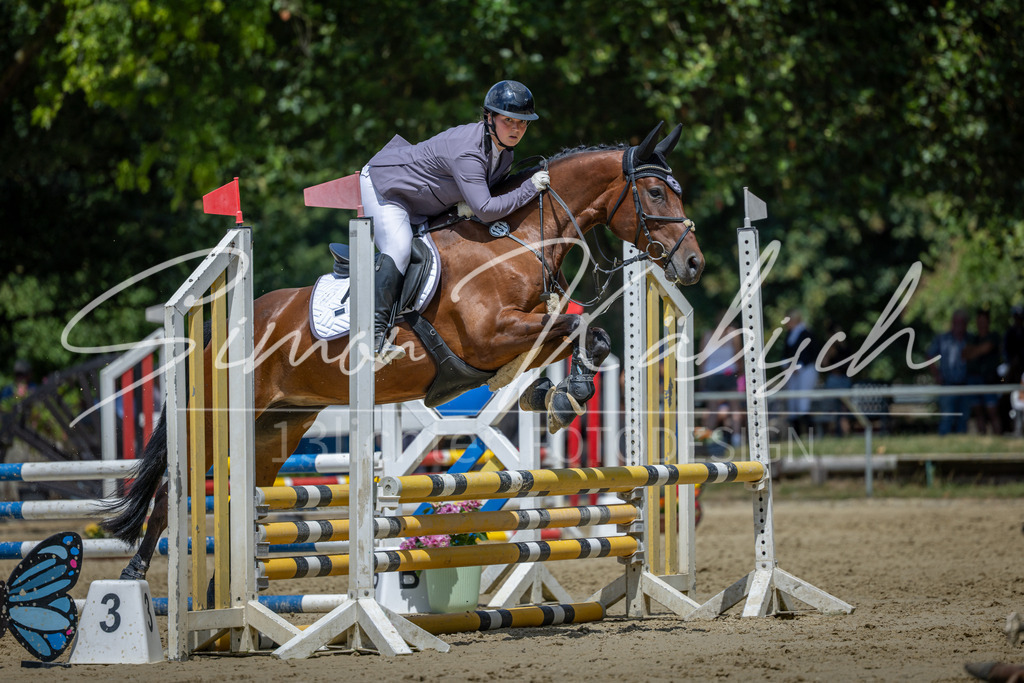 20260704-_3LI8709 | Tierfotografie Pferde, Hunde, Katzen, Haustiere.
Turnierfotografie Reitturniere, Reiten, Springreiten, Dressur in Hanau, dem Main-Kinzig-Kreis und dem Rhein-Main- Gebiet um Frankfurt