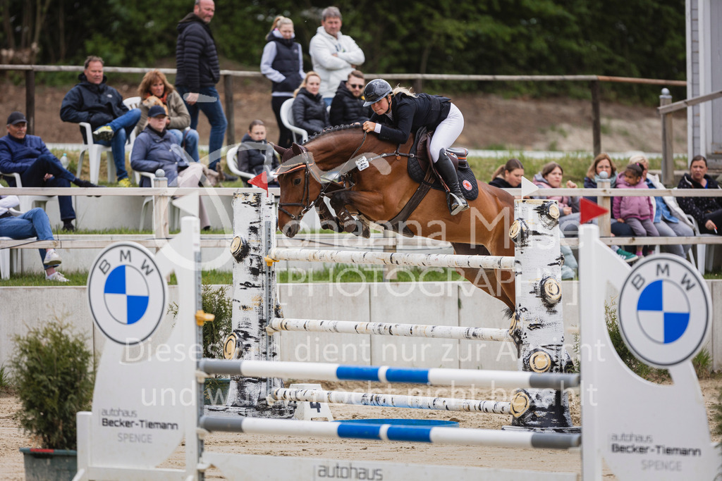 250504_SpengeW_Stil-S-513 | Deine schönsten Turniermomente als professionelle Fotos! Entdecke hochwertige Pferdesport-Fotografie im Online-Shop. Jetzt Fotos finden & bestellen!