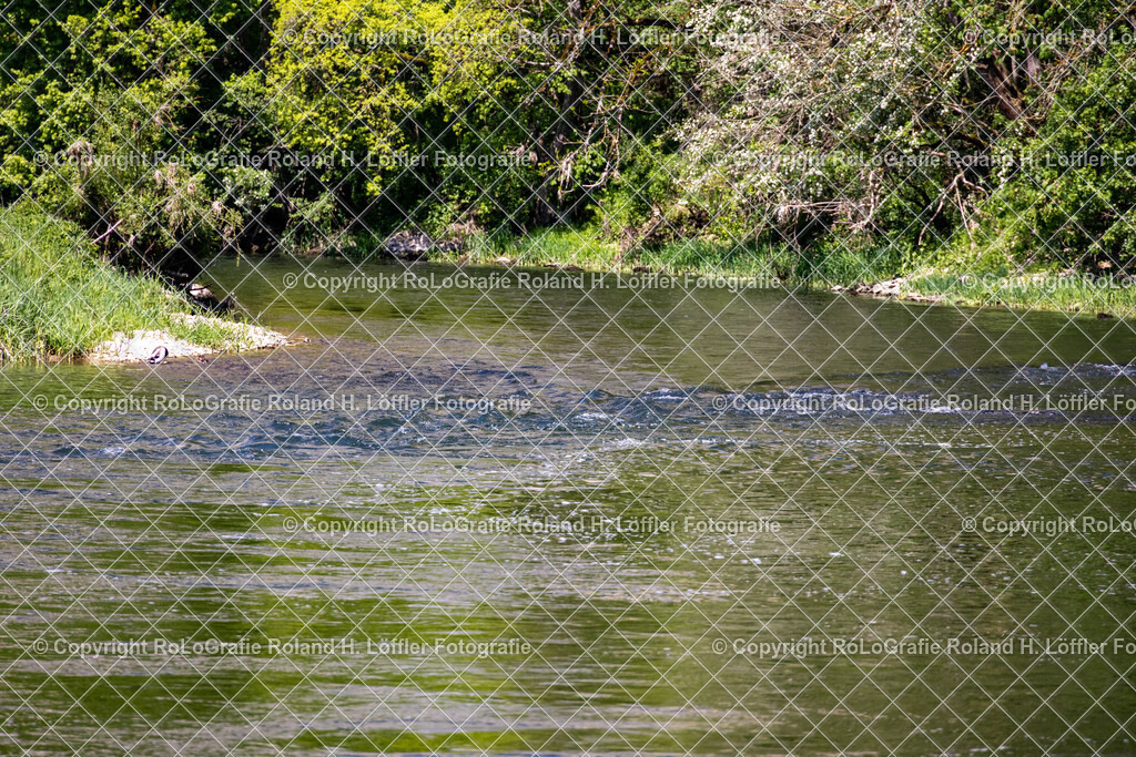 Donau-Donautal-28 | IPTC Infos - Realisiert mit Pictrs.com