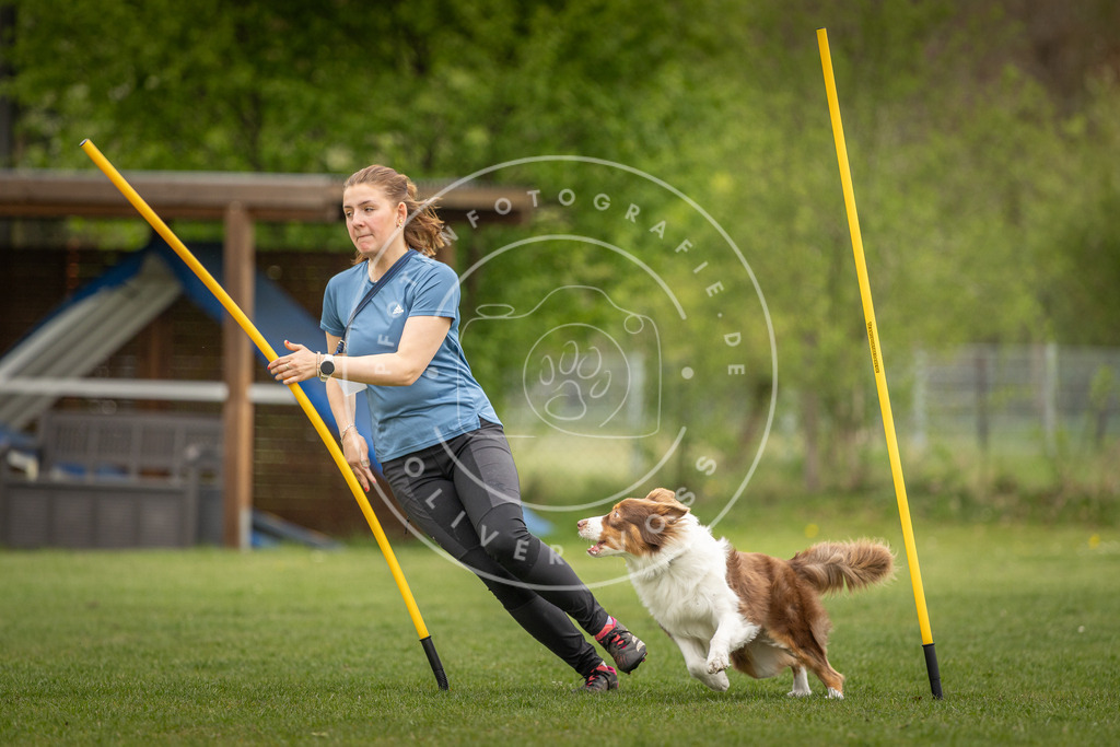 Pfotenfotografie_DV3A0226 | Hundefotografie, Tierfotograf, Pfotenfotografie, Fotoshooting Hund, Hunde Portrait, Hundesport, Hundeportraits, Heideshooting, Hunde, Sportfotograf, Hundefotograf, Turnierhundsport, THS,  - Realisiert mit Pictrs.com