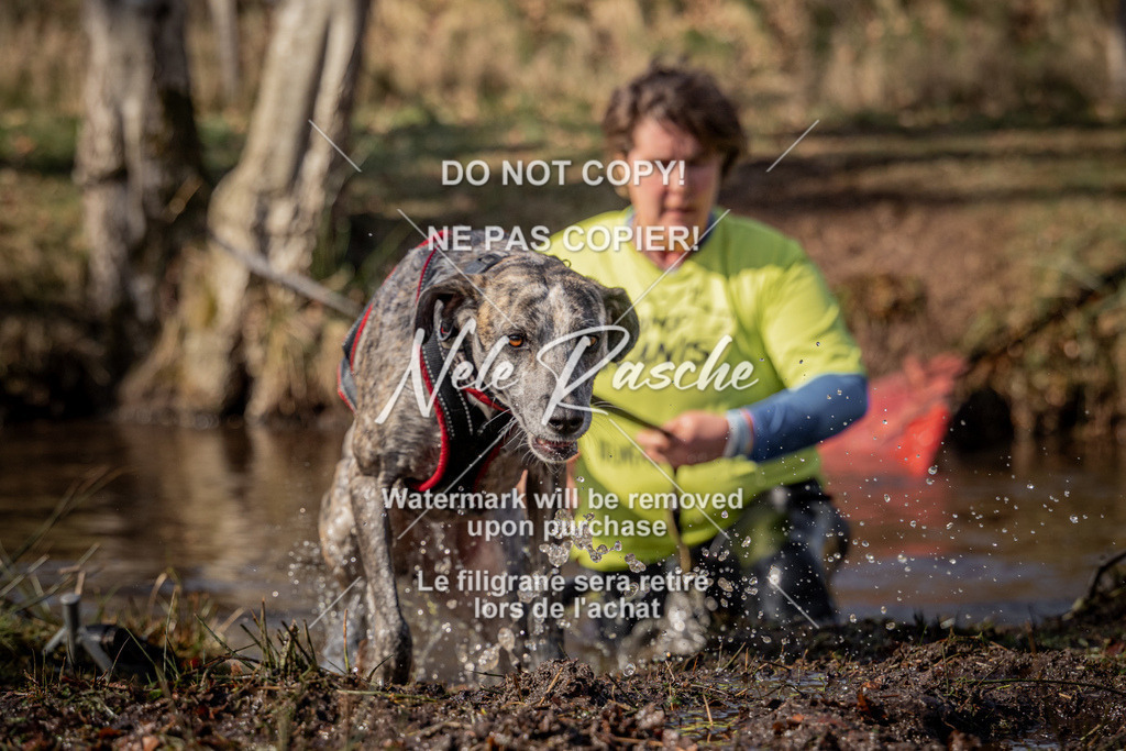 nelerasche_FS1330-1400_63 | nelerasche