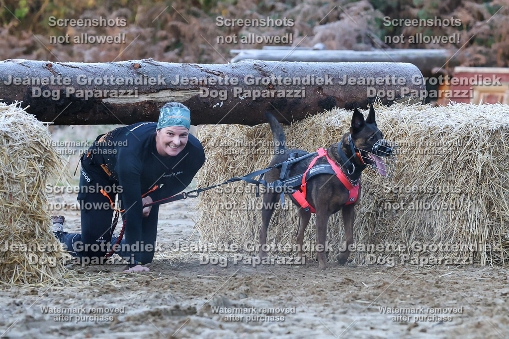 Dog Paparazzi - Strongdog 10-25-356 | Dog Paparazzi Jeanette Grottendiek Fotografie & Videografie - Realisiert mit Pictrs.com