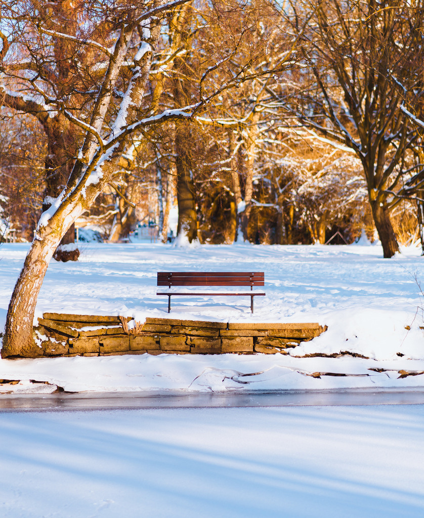 Bürgerpark | Entdecke exklusive Fotokunst aus Braunschweig: Bildband, Leinwände, Postkarten, Kalender, digitale Downloads & Bildlizenzen. Jetzt im offiziellen Beautiful Braunschweig Shop! - Realisiert mit Pictrs.com
