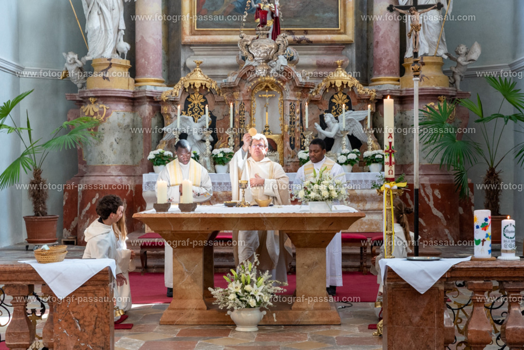 _DSC2711 | Hier finden Sie die Online Foto-Galerie von fotograf-passau.com und marius-handrugan.de. Suchen Sie sich direkt Ihre Lieblingsbilder aus, ob als Ausdruck oder Download. - Realisiert mit Pictrs.com