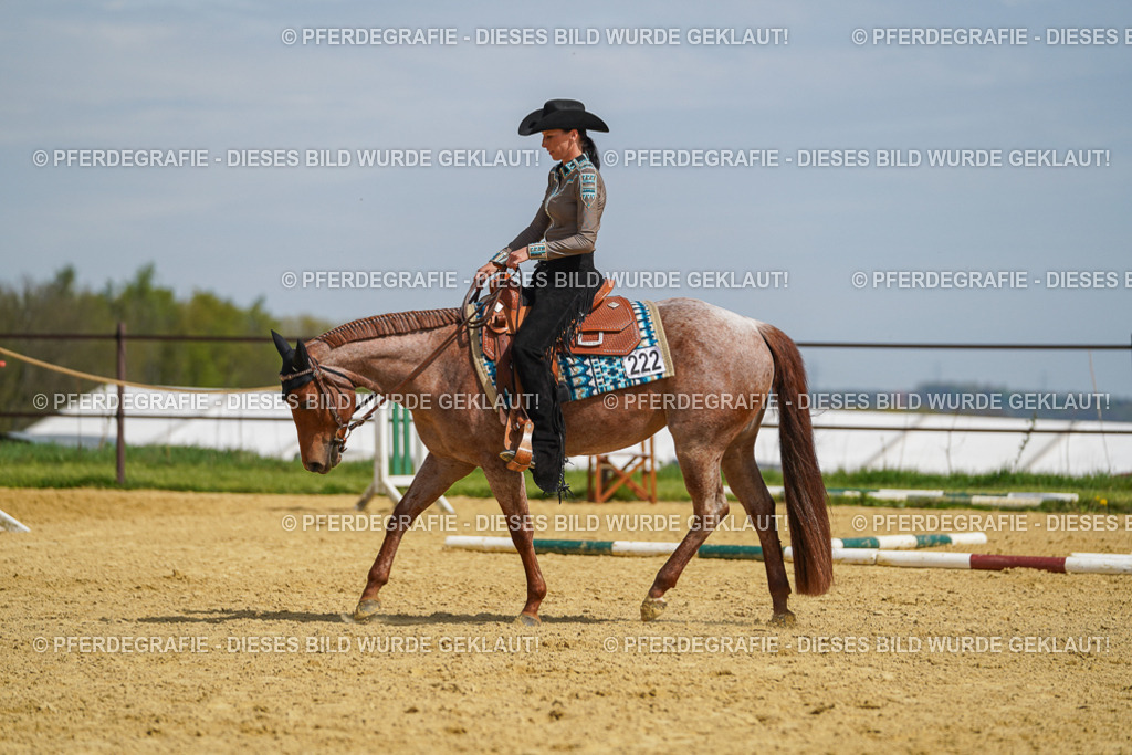 DSC04942 | Pferdegrafie