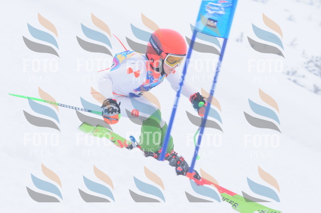 C2547 | holidayphoto