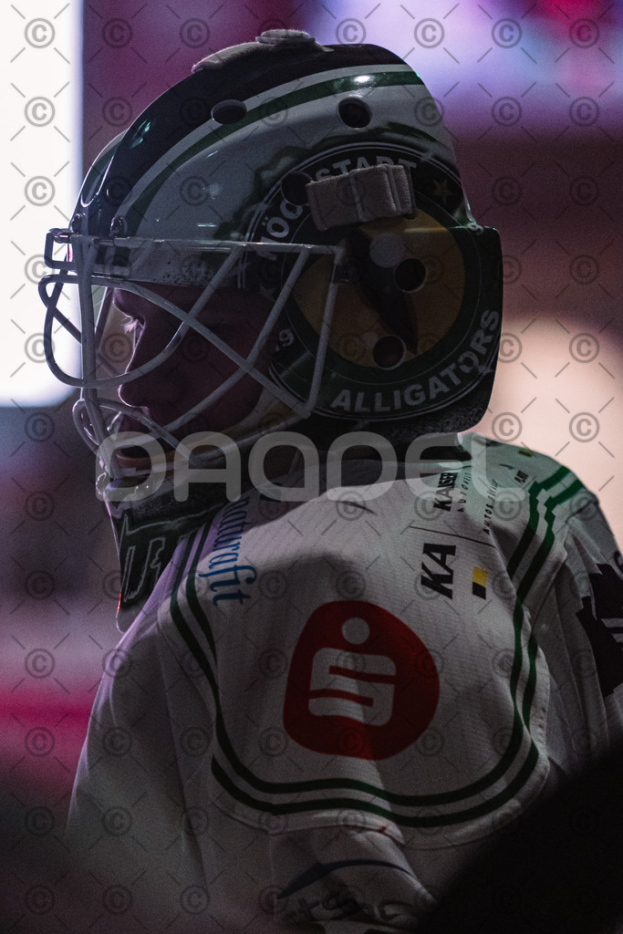 Erding_vs_Alligators_02_01_2026-23 | Höchstadt Alligators Fotogalerie: Eishockey-Action aus Franken. Professionelle Spielfotos, Portraits & Stadionbilder zum Download. Jetzt entdecken! - Realisiert mit Pictrs.com