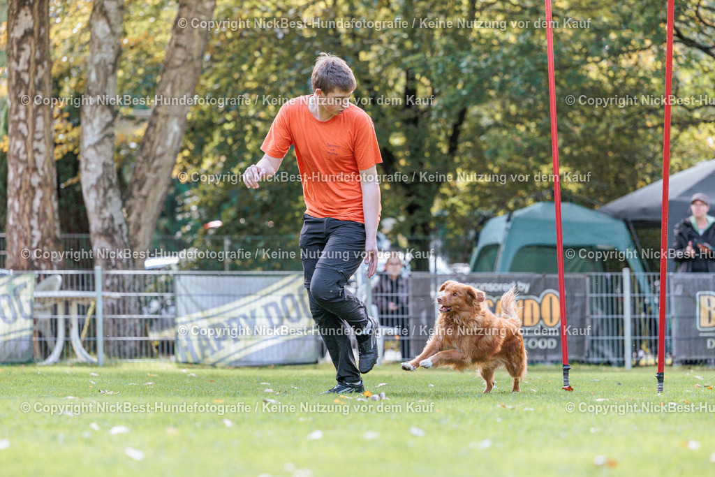 THS-HSV-Blumenthal-2026-Nickbest-Hundefotografie-3015 | Dein Hund! Dein Moment! Deine Erinnerungen! Hundefotografie in Bremen Blumenthal. Ich fange die besonderen Momente deines Vierbeiners ein – ob Indoor mit Blitzanlage oder in der freien Natur. Sicher dir dein Moment und dein Termin für eure Erinnerungen.