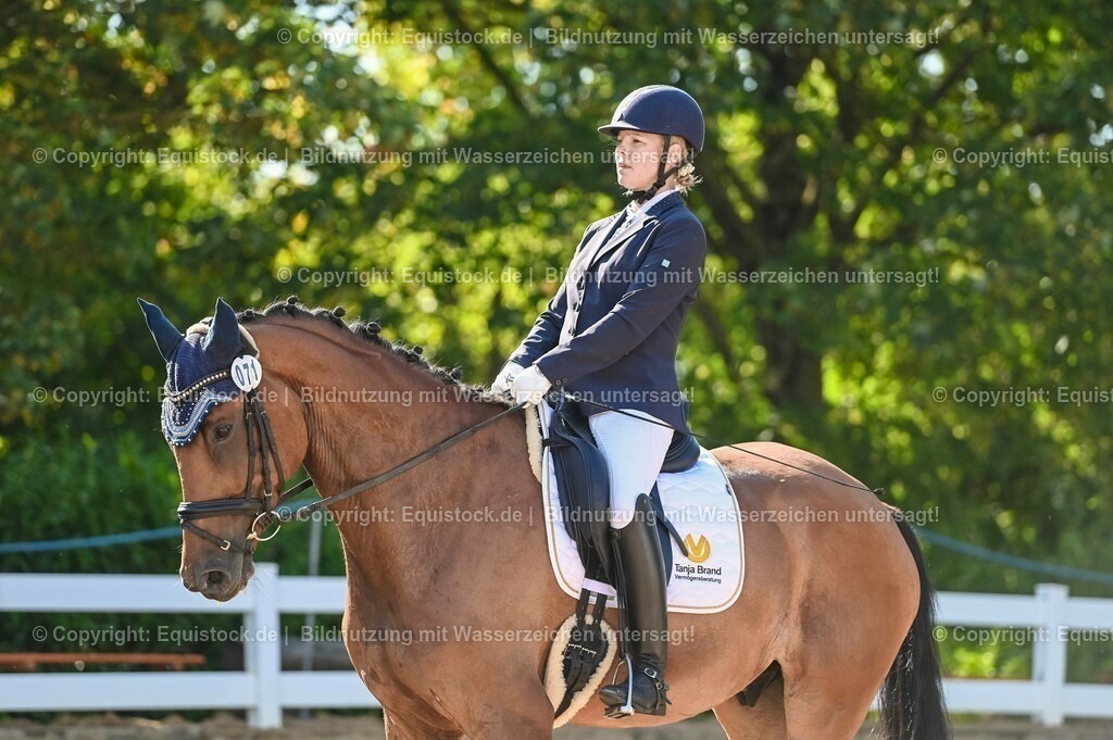 20230715_06_Dressurpferdeprfg. Kl.A_0192 | equistock