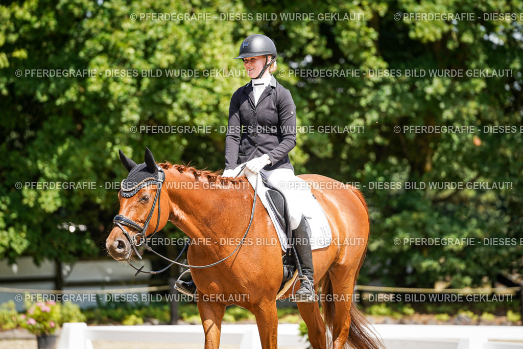 DSC00955 | Pferdegrafie