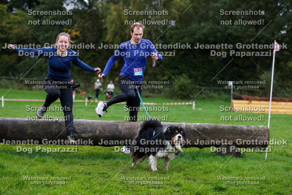 Dog Paparazzi -  SD1026-1363 | Dog Paparazzi Jeanette Grottendiek Fotografie & Videografie - Realisiert mit Pictrs.com