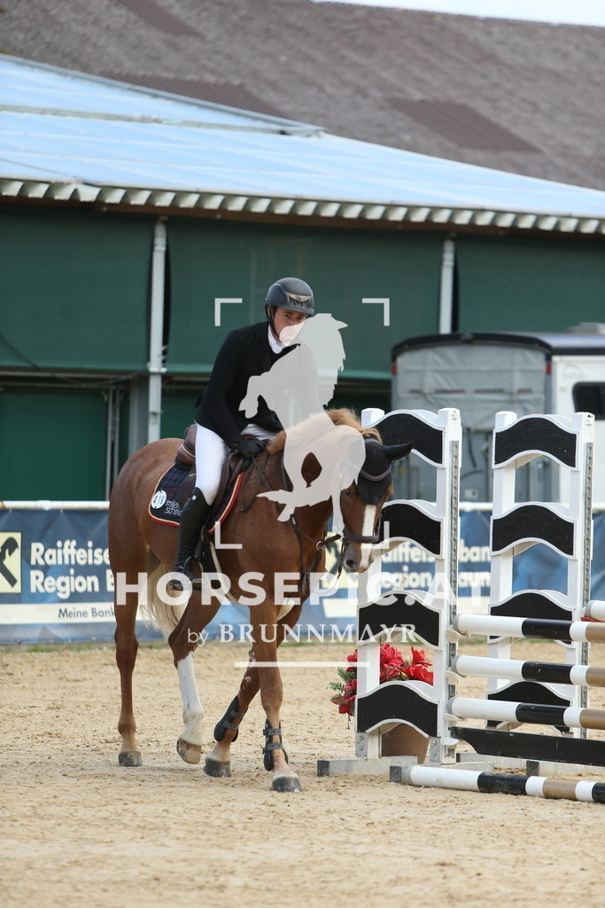 DL2Q1333 | Willkommen bei Brunnmayr - Design & Fotografie – Ihrem Spezialisten für Reitturniere und Pferdeveranstaltungen in Oberösterreich, Salzburg und Bayern! Seit über 17 Jahren sind wir leidenschaftlich dabei.