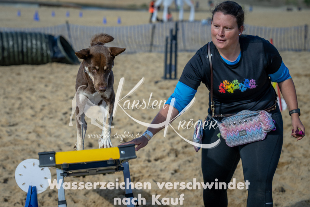 1211_ZZ92629-2 | kk-dogfotos