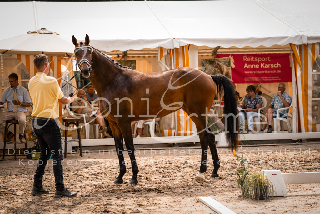 6.Fr00054 | Leoni Ertmer Photography - Realisiert mit Pictrs.com