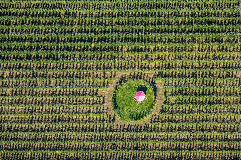 Dortmund240804593 | Mini Camping mit Sonnenschirm im Feld und Wiese, Hof Mertin Bönninghauser Straße, Formen und Farben, Hostedde, Dortmund, Ruhrgebiet, Nordrhein-Westfalen, Deutschland