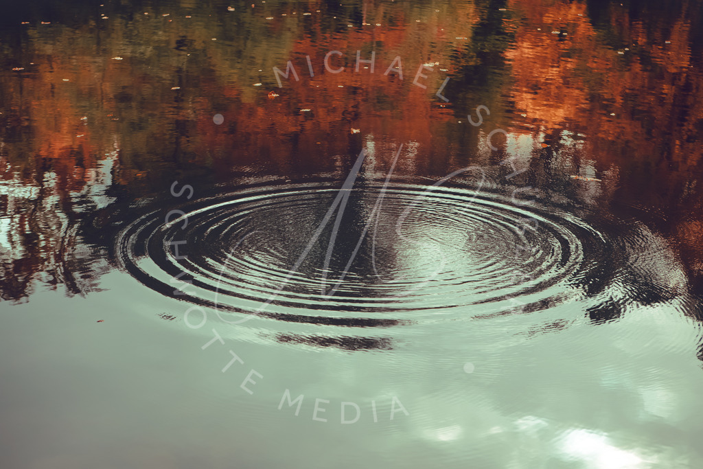 2020-10-21 Baerensee Herbst -27 | Platsch -An den Bärenseen bei Stuttgart - Realisiert mit Pictrs.com