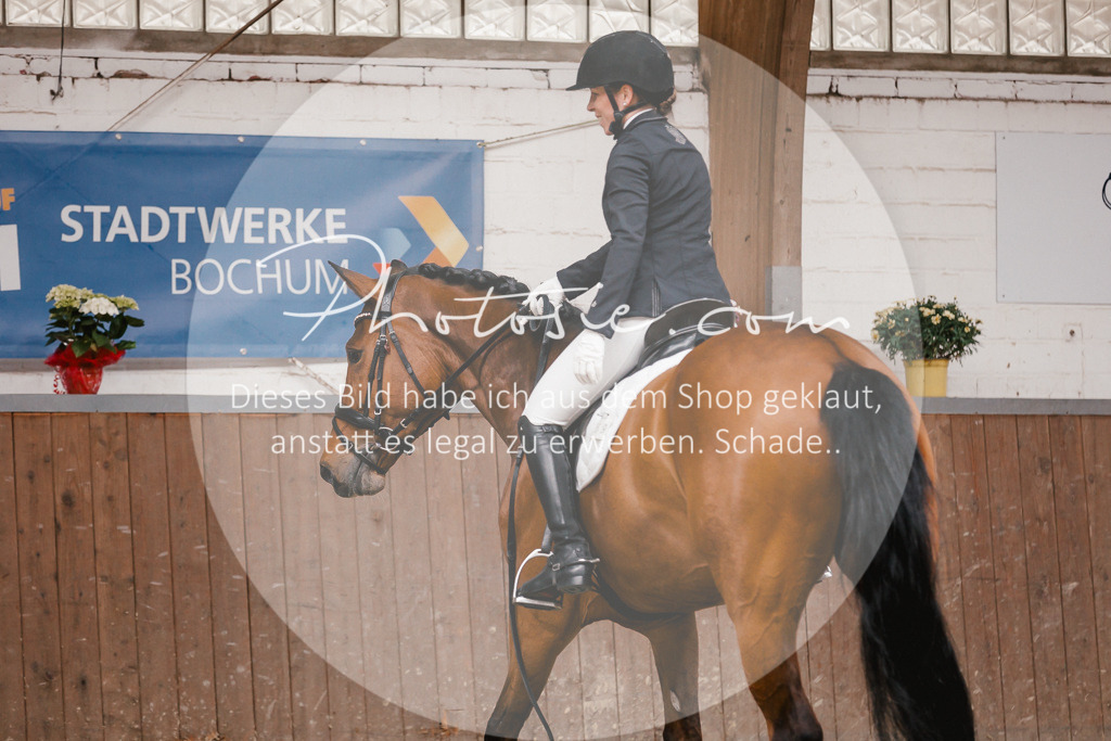 3I6A7415 | Stimmungsvolle Portraits und Reitsportfotografie im Ruhrgebiet und im Münsterland.

Pferdefotografie, Hundefotografie, Tierfotografie, Reportagen, Portraits von Tier und Mensch, Turnierfotografie in Bochum, Recklinghausen, Marl, Haltern am See, Dülmen.. - Realisiert mit Pictrs.com
